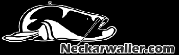Neckarwaller.com by Peter Merkel 